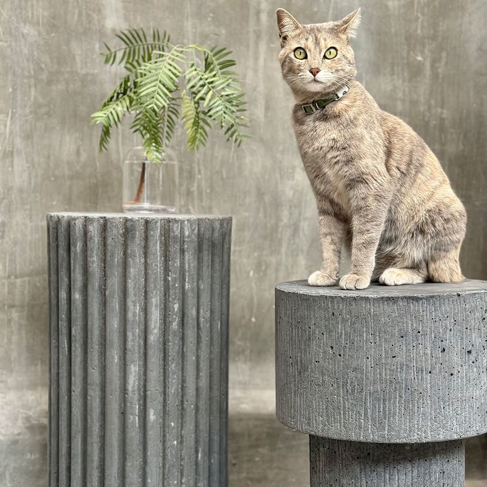 MESA DE CONCRETO CARDO ALTA GRIS - Imagen 4